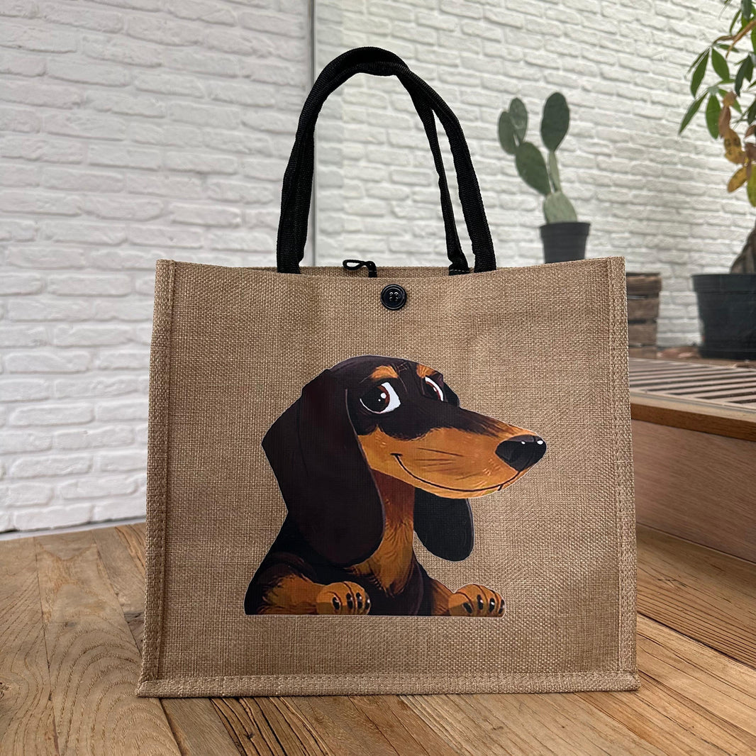 Dachshund